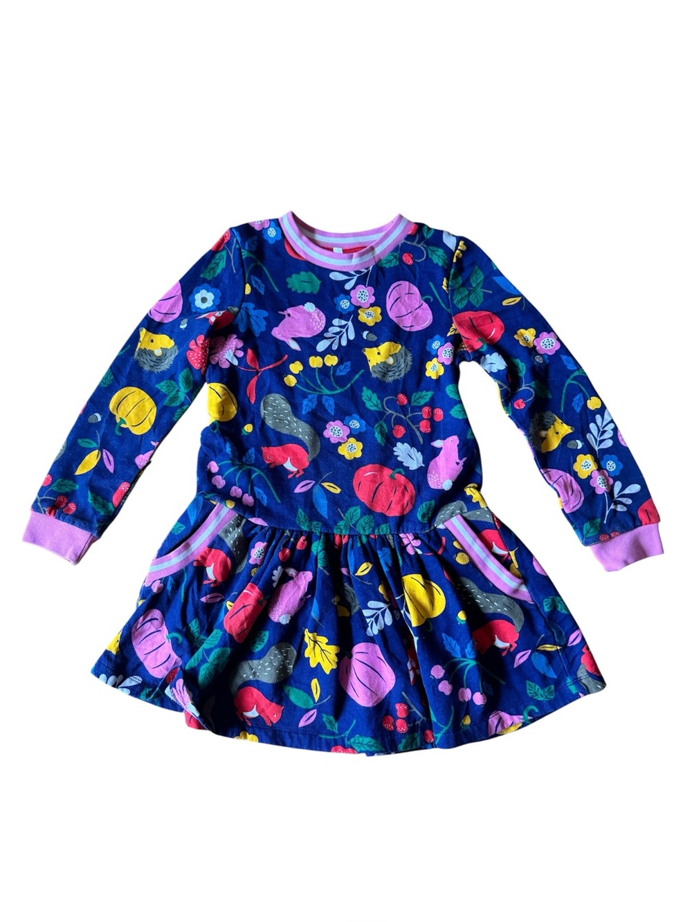 Mini Boden 8-9 Years Girls Dress Kids Pockets Pink Blue Fall Autumn Pumpkins